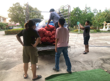 สหกรณ์จังหวัดบึงกาฬนำทีมบุคลากรในสังกัดร่วมสนับสนุนกระจายหอมหัวใหญ่ 1 ตัน เพื่อช่วยเหลือเกษตรกรชาวเชียงใหม่ ตามแคมเปญ "รักนะจึงให้หอม(หอมหัวใหญ่) เชียงใหม่เน้อจ้าว" ... พารามิเตอร์รูปภาพ 1